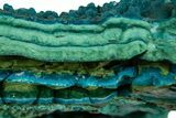 Teal Botryoidal Chrysocolla and Malachite - Chile #310124-1